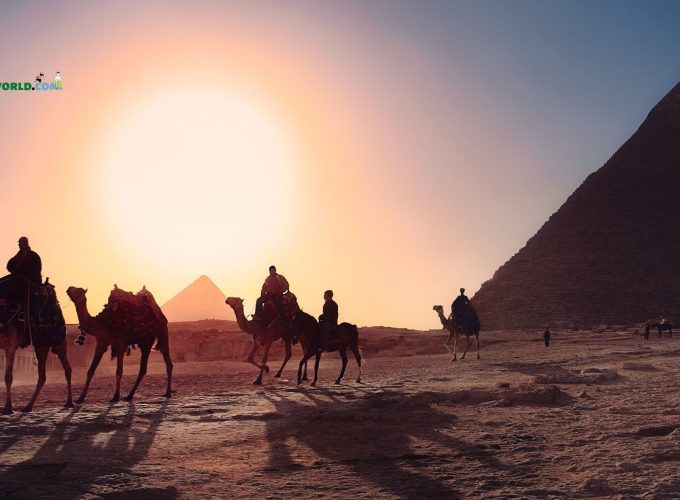 6 Nights 7 Days Egypt tour package - Camel near Pyramids of Egypt