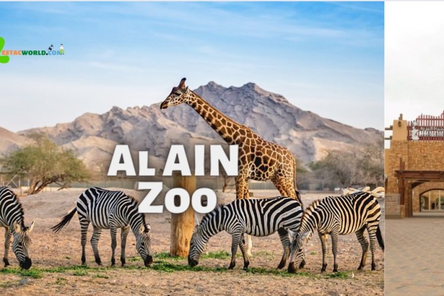 Image of Giraffes and Zebras at Al Ain Zoo, with the entry gate on the right