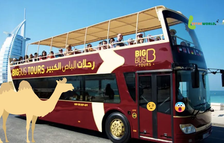 Big Bus Dubai online booking