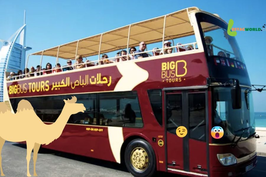 Big Bus Dubai online booking - Big Bus Dubai sightseeing tour bus traveling through the city