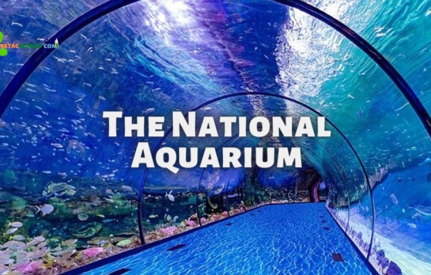 The National Aquarium Abu Dhabi online tickets