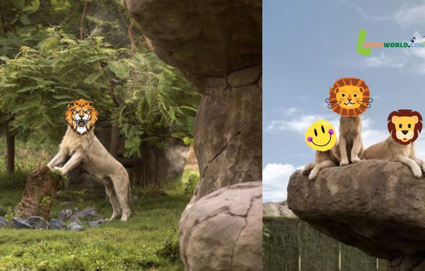 Dubai Safari Park online tickets