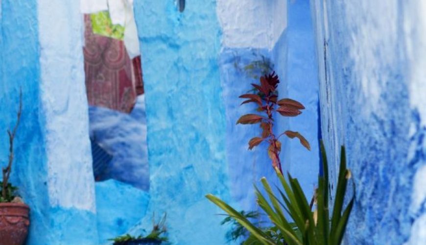 Morocco tour packages - Blue houses of Morocco