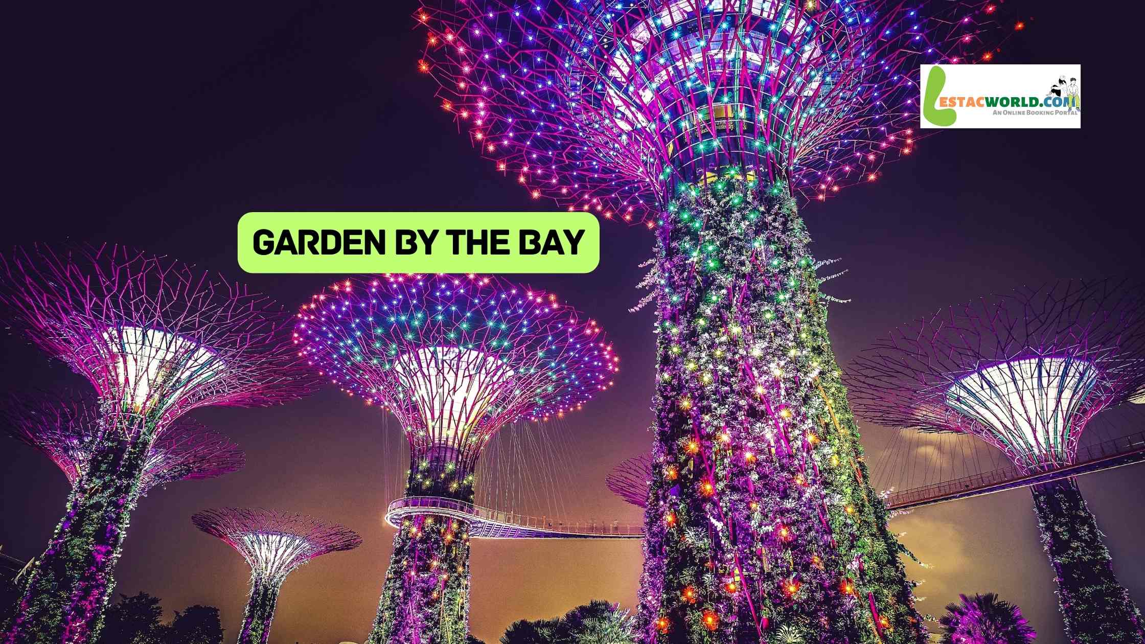 Spectacular Supertrees at Gardens by the Bay