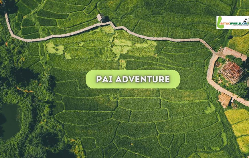 4 nights 5 days Chiang Mai tour package