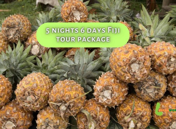 Ripe pineapples from Fiji - A tropical delight on your 5 nights 6 days Fiji tour package.