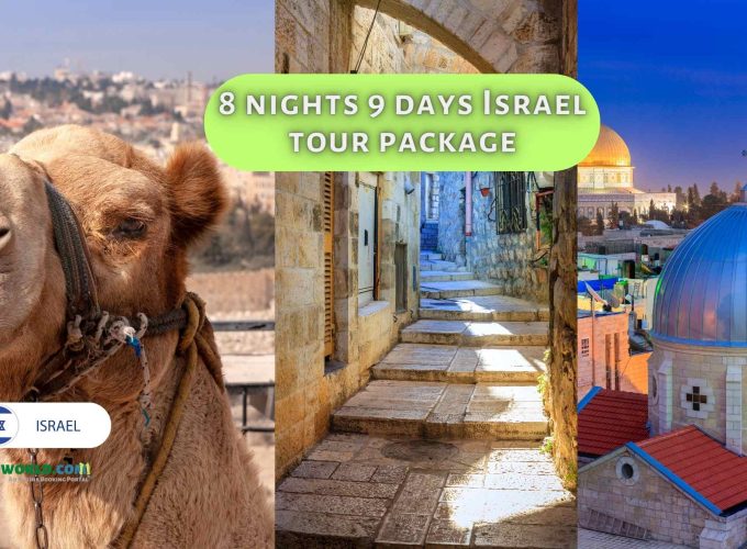 A collage featuring three distinct images from the 8 nights 9 days Israel tour package: a camel on the left, a bustling street in Jerusalem at the center, and an aerial view of the Dome of the Rock on the right.