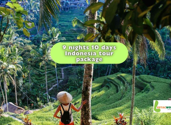 9 nights 10 days Indonesia tour package - Lush Green Rice Fields in Indonesia