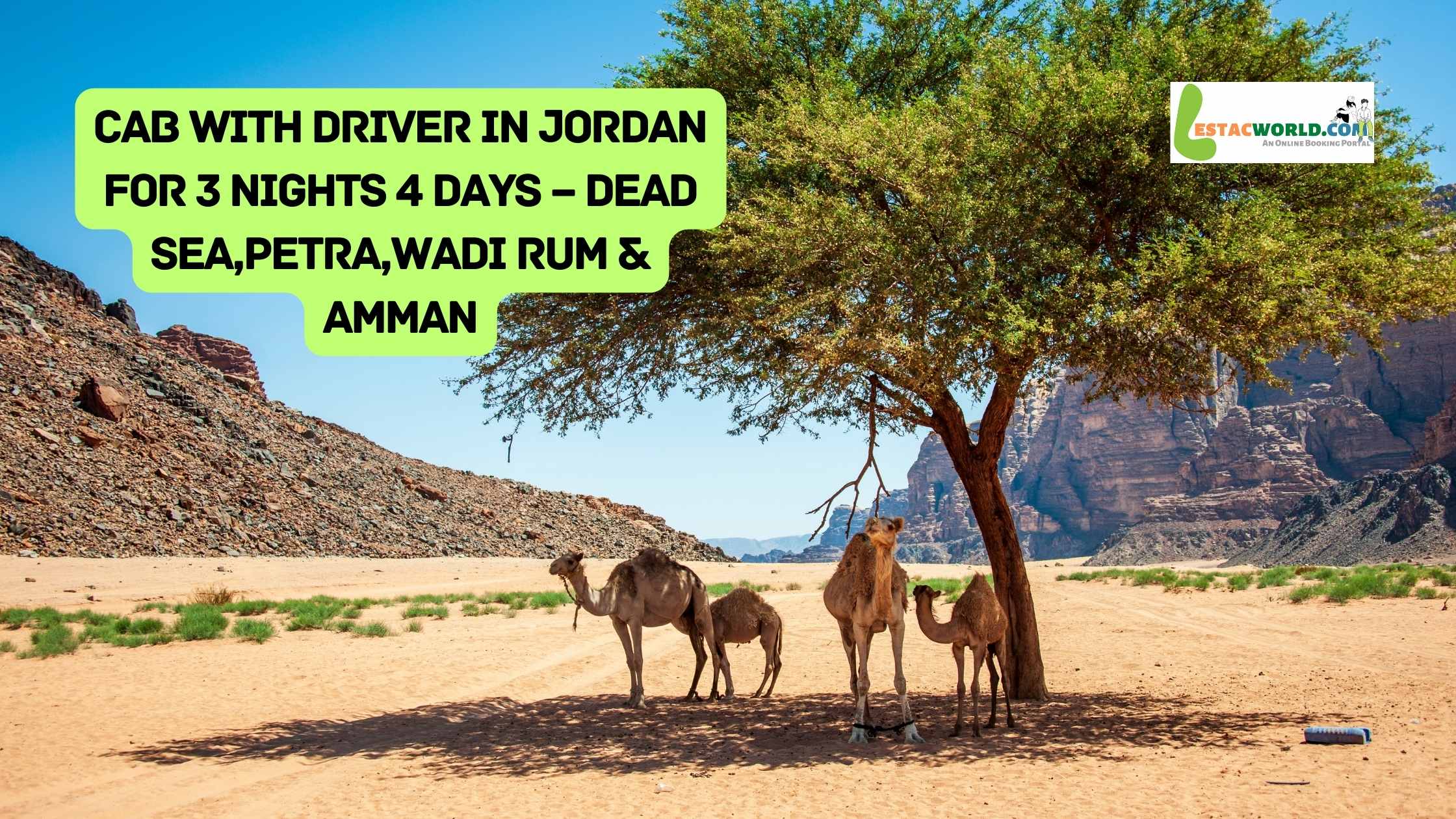 Cab with Driver in Jordan for 3 nights 4 days dead sea,Petra,Wadi rum