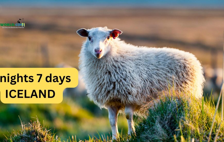 6 nights 7 Days Iceland tour package
