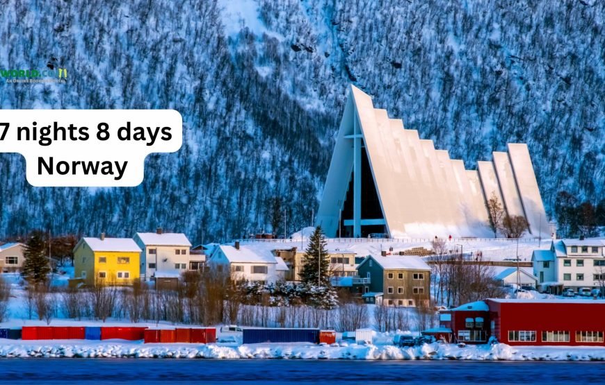 chennai to norway tour package