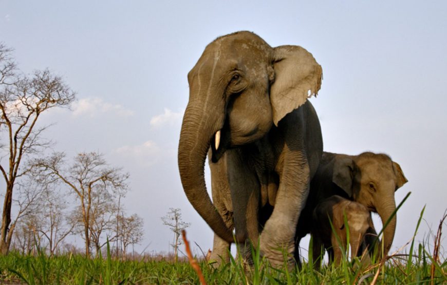 8 days Meghalaya tour package