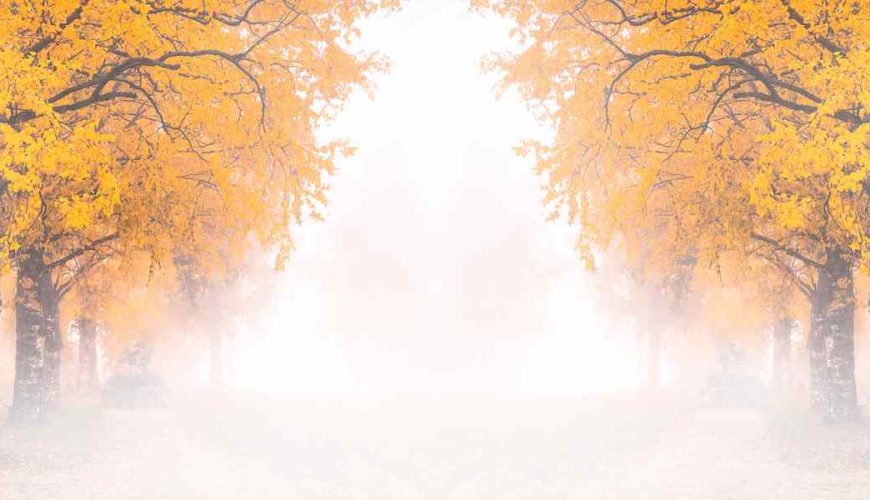 Is December the right time to visit Finland