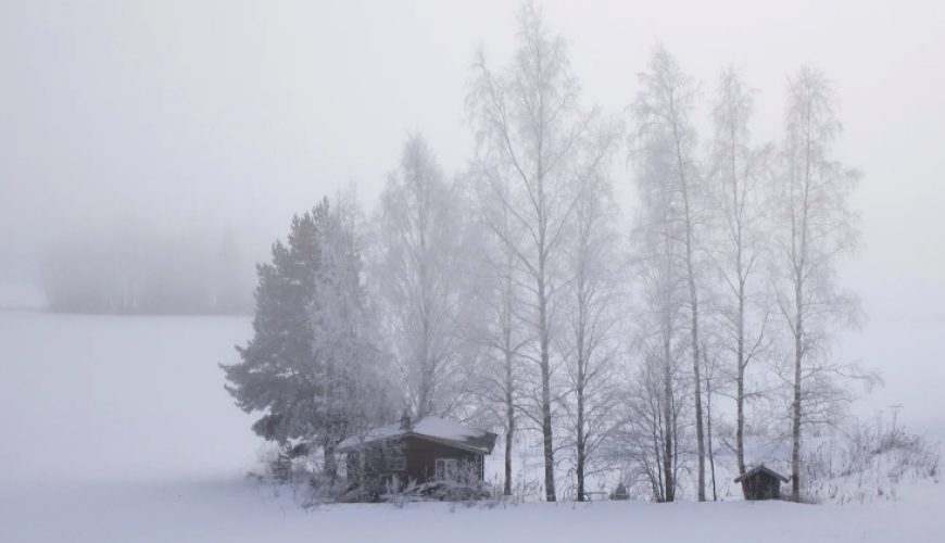 Lestacworld vs other travel agencies for Finland tour ?