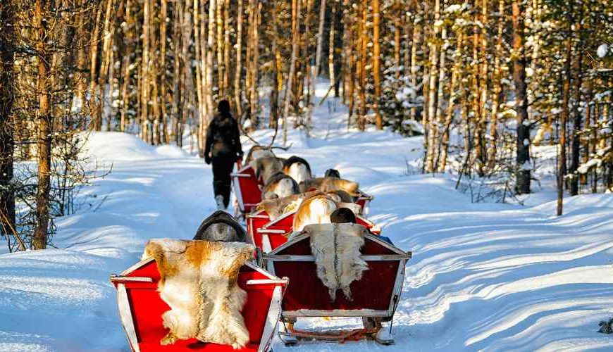 Husky sled team in Rovaniemi during a magical winter day - part of our unforgettable Finland tour from the USA.