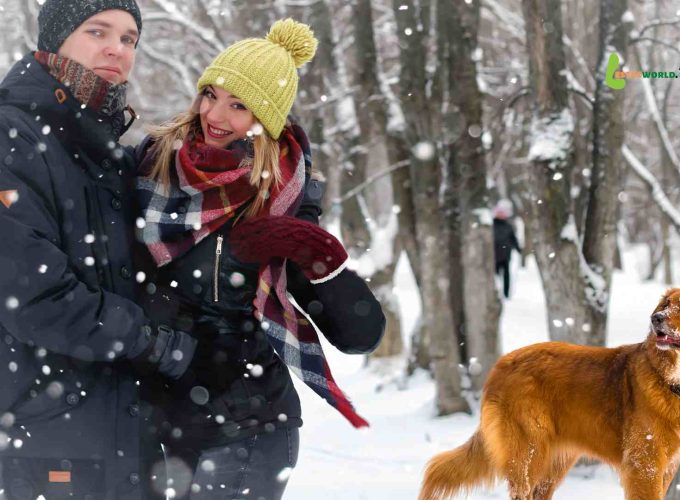 A couple stands in the pristine snow of Svalbard, surrounded by a winter wonderland. A golden dog looks on, capturing the essence of the 2 week Scandinavia and Svalbard tour package.