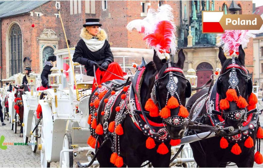 5 nights 6 Days Poland tour package