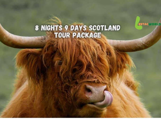 Image of a Scottish cow sitting in a farm of Scotland.