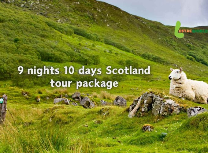 Scottish sheep grazing on picturesque mountains during a 9 nights 10 days Scotland tour package.