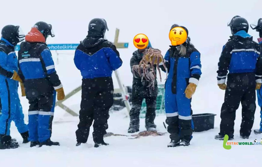 10 nights 11 days Finland and Norway tour with Crab Safari