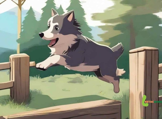 An animated image featuring a Husky puppy playing in a Husky park in Lapland, part of the 4 nights 5 days Finland tour in summers.