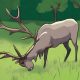 An animated image showcasing a reindeer peacefully grazing on grass in Lapland, Finland, part of the 7 nights 8 days Finland tour package in summers.
