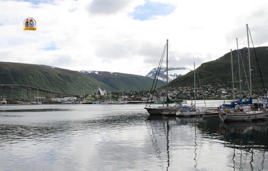 Arctic Fjord Cruise tour in Tromso