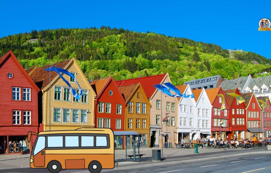 Bergen city tour by Minibus