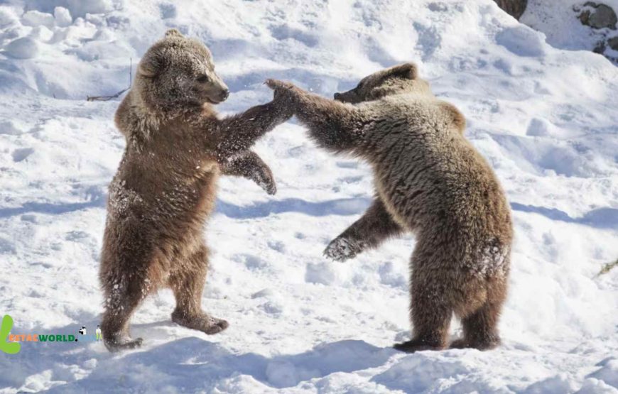 12 nights 13 days Finland tour with Child in December