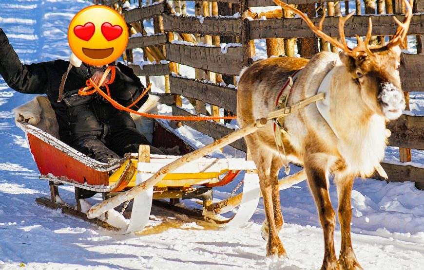 7 nights 8 days Finland tour package for Solo traveller