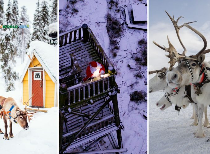 Collage of Lapland scenes featuring a boy holding the leash of a reindeer, Santa Claus standing on a wooden tower, and reindeers with big horns standing in the snow.
