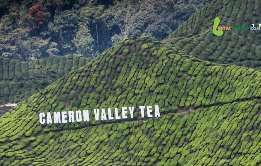 9 nights 10 days Malaysia tour package