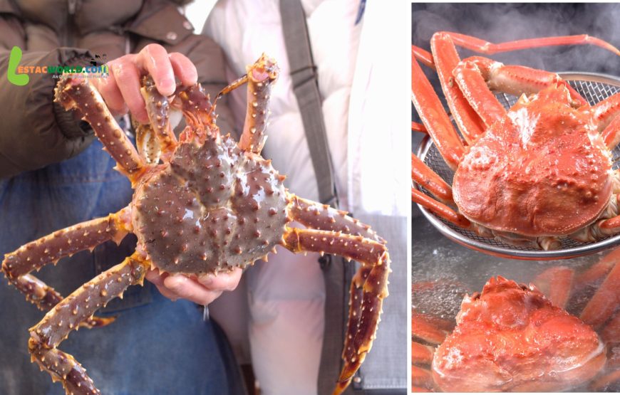 6 nights 7 days Ivalo, Kirkenes and Rovaniemi tour