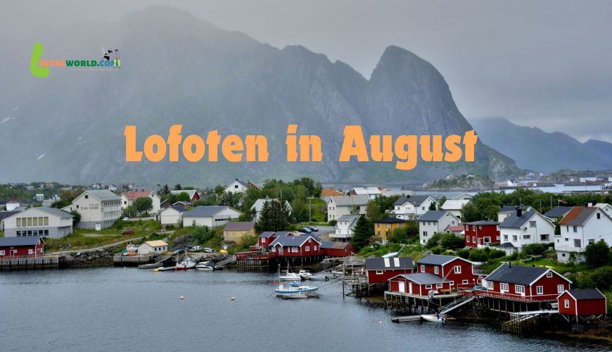 Aerial view of Lofoten Island with red houses built around the water, surrounded by stunning natural scenery.