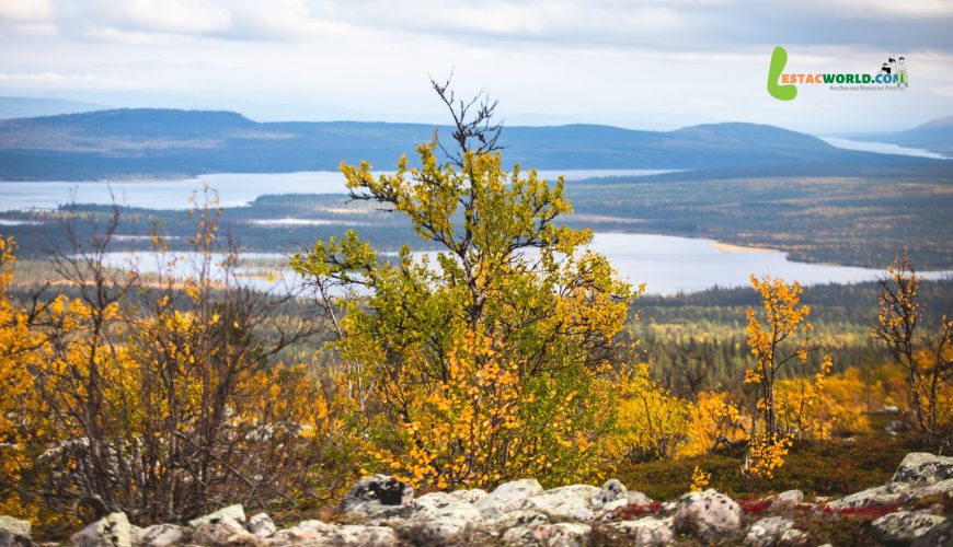 Landscape of Kiruna in October with snow-covered ground, autumn foliage, and distant mountains.