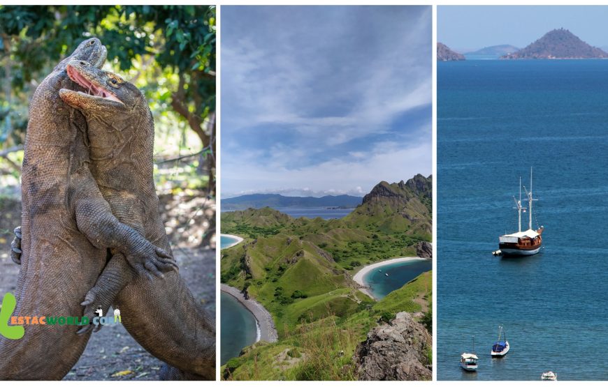 Komodo Island tour from Bali with 4* stay