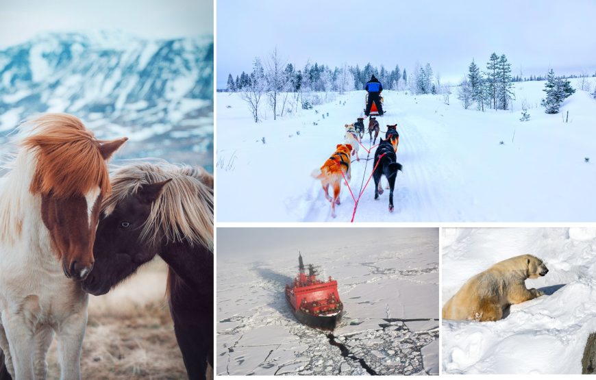 12 nights 13 days Finland and Iceland tour package